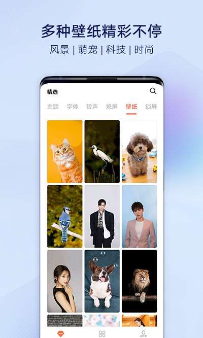 i主题vivoapp最新版图4