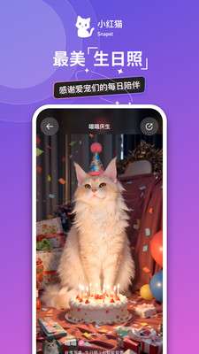 小红猫图1