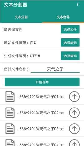 Txt Spliter（文本分割器）图3