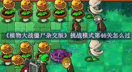 《植物大战僵尸杂交版》挑战模式第46关怎么过