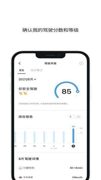 infocar检测图3