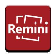 remini专业