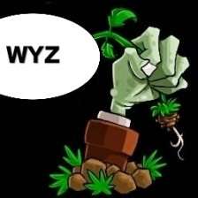 植物大战僵尸WYZ