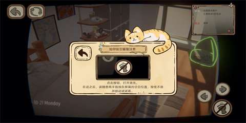 此处应有猫图1
