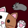 nekotouch游戏