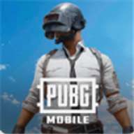 PUBG2025最新版