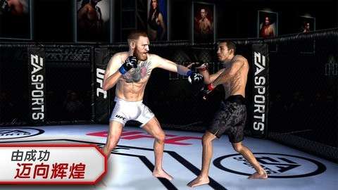 ufc4图3