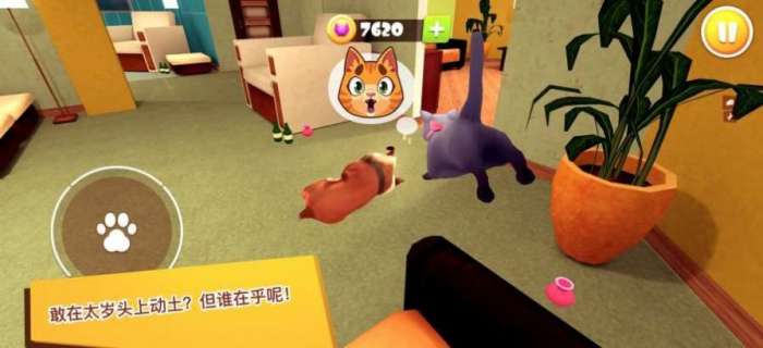 猫咪模拟器3d图1