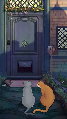 流浪的橘猫侠图2
