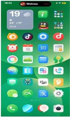 Smartphone图3