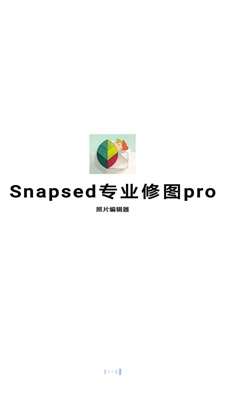 Snapsed专业修图pro图1