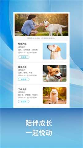 小兔乐跑图1