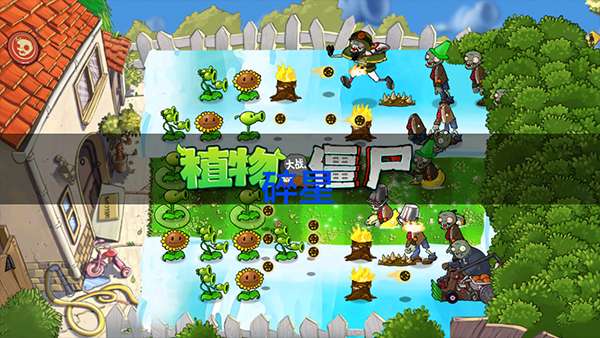 植物大战僵尸仿e支手机版图1