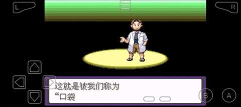 口袋妖怪漆黑的魅影5.0ex+bw图2
