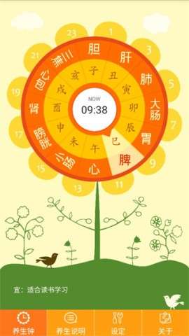 十二时辰经络养生钟图2