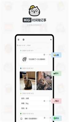 MiGi图1