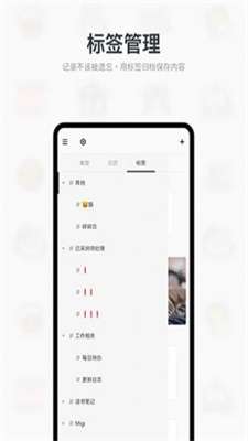 MiGi图3