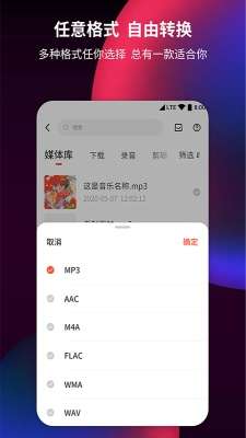 音频剪辑提取器图4